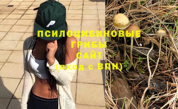 a pvp Беломорск