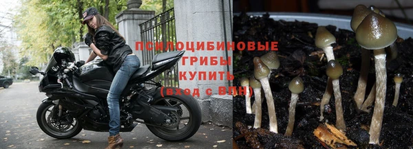 меф Богданович