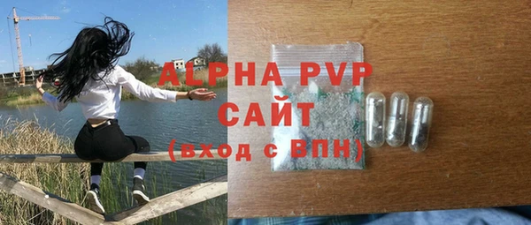 трава Белокуриха
